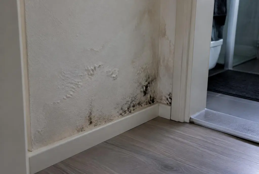 Lekdetectie Druten – vochtplek met schimmel op een muur